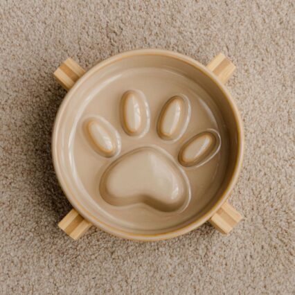 Slowfeeder Paw (Spora hranilica)